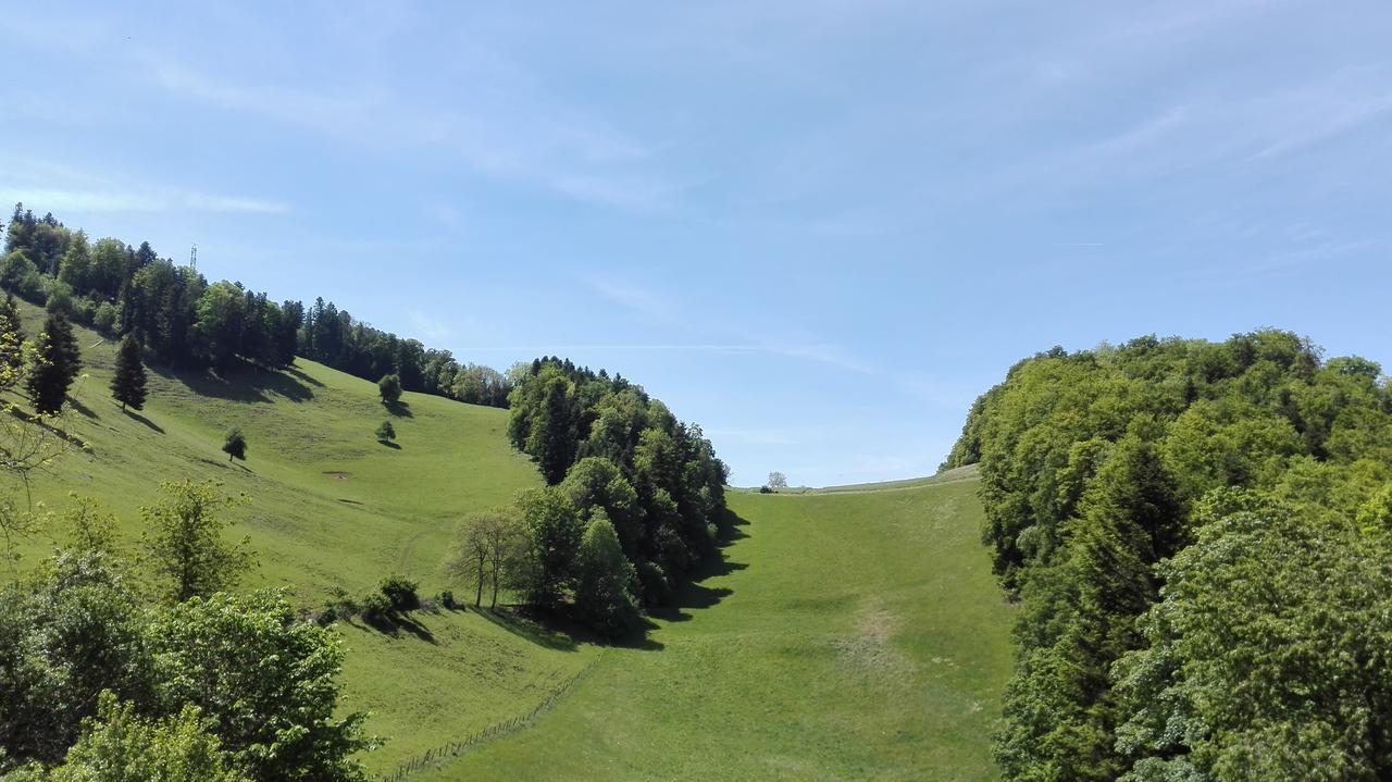 サン・テュルサンヌLa Joux Chaupeアパートメント エクステリア 写真