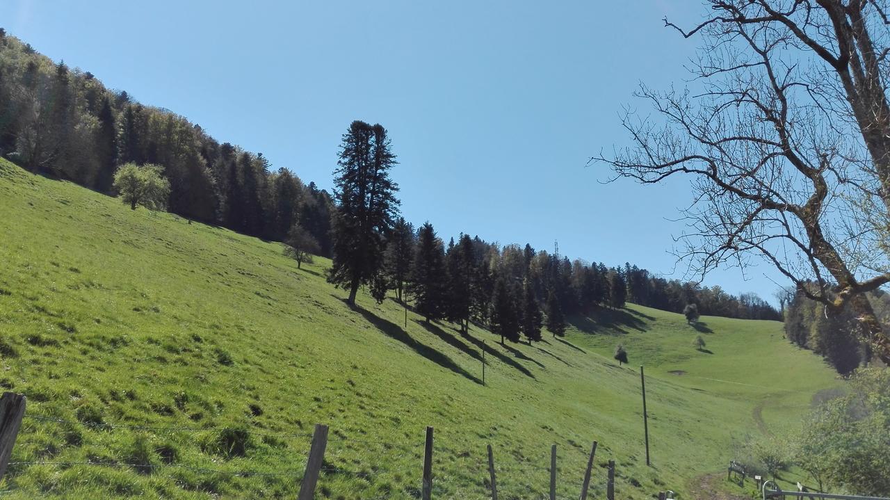 サン・テュルサンヌLa Joux Chaupeアパートメント エクステリア 写真